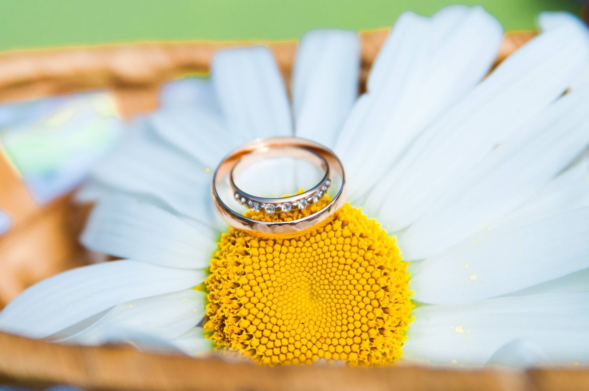 Ромашка украшение