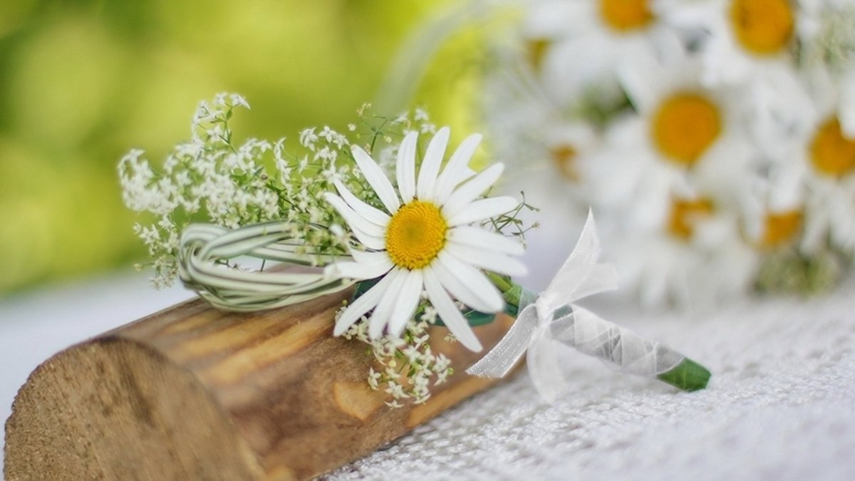 Фаянсовая Ромашковая свадьба