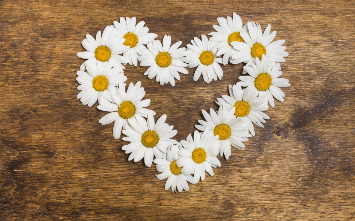 Свадьба в ромашковом стиле