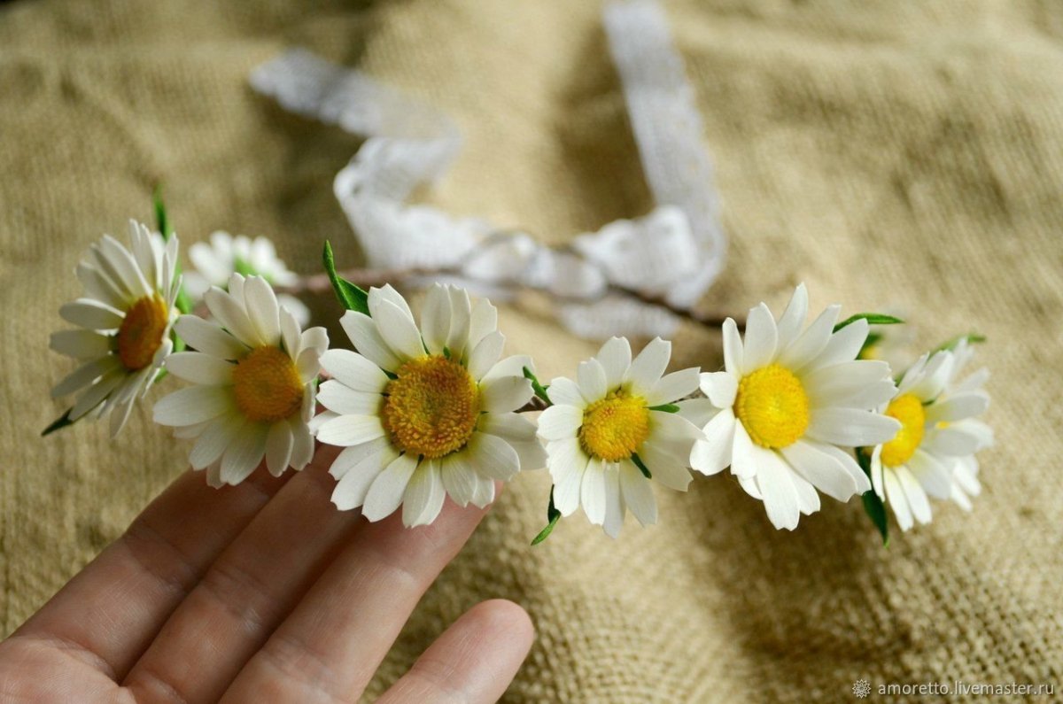 Ромашковая свадьба картинки
