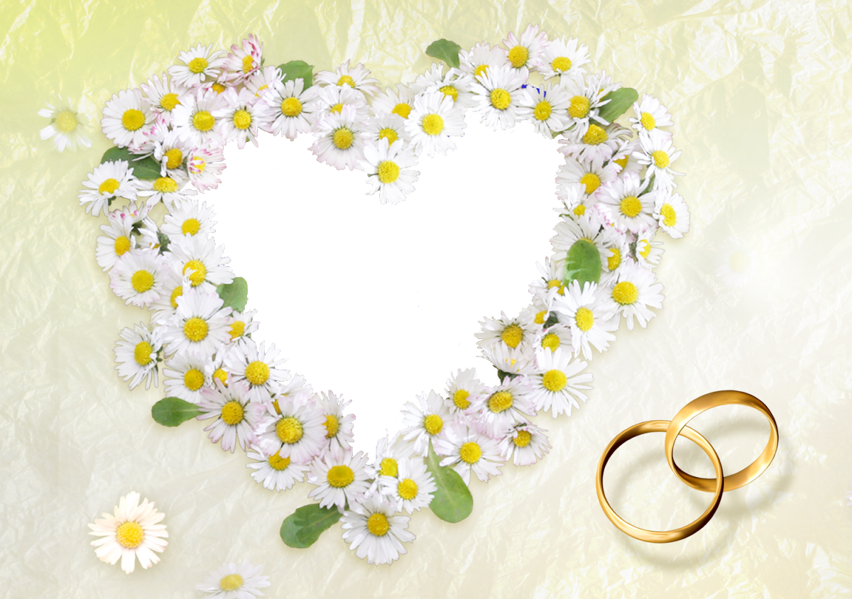 День семьи ромашки