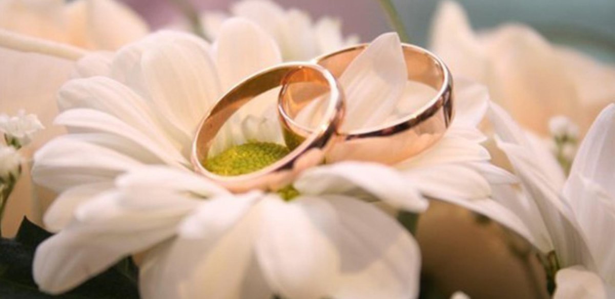 Ромашковая свадьба поздравления