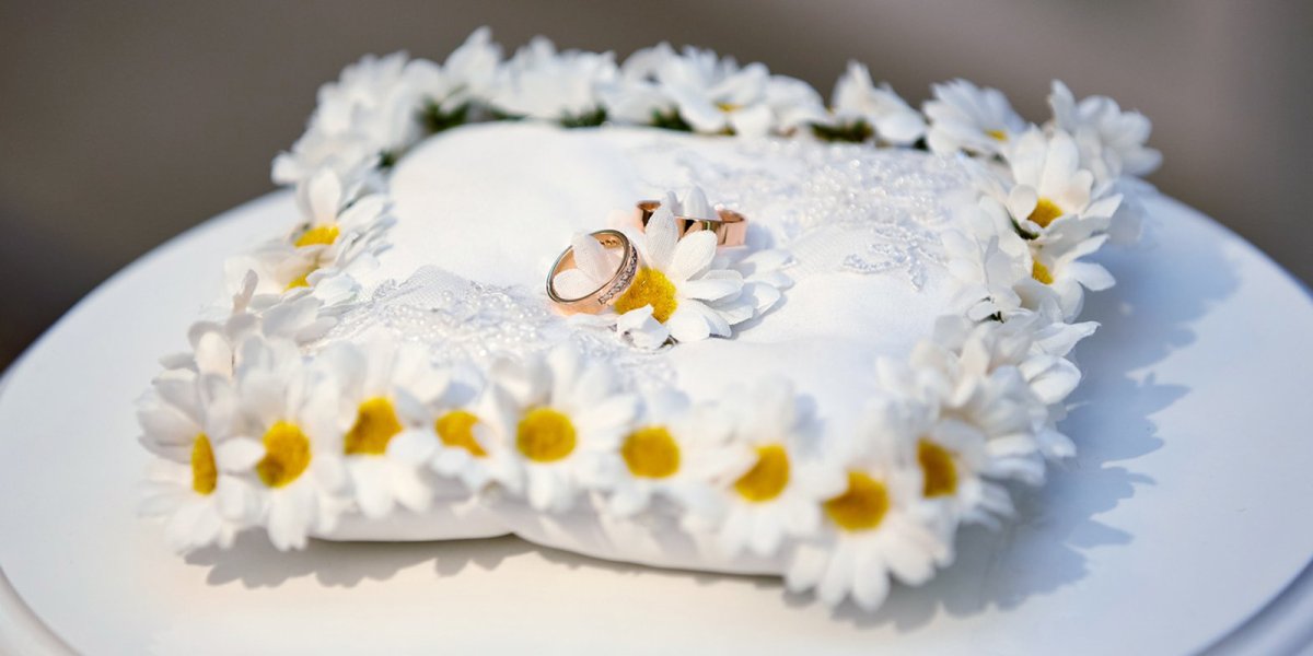 Ромашковая свадьба открытки