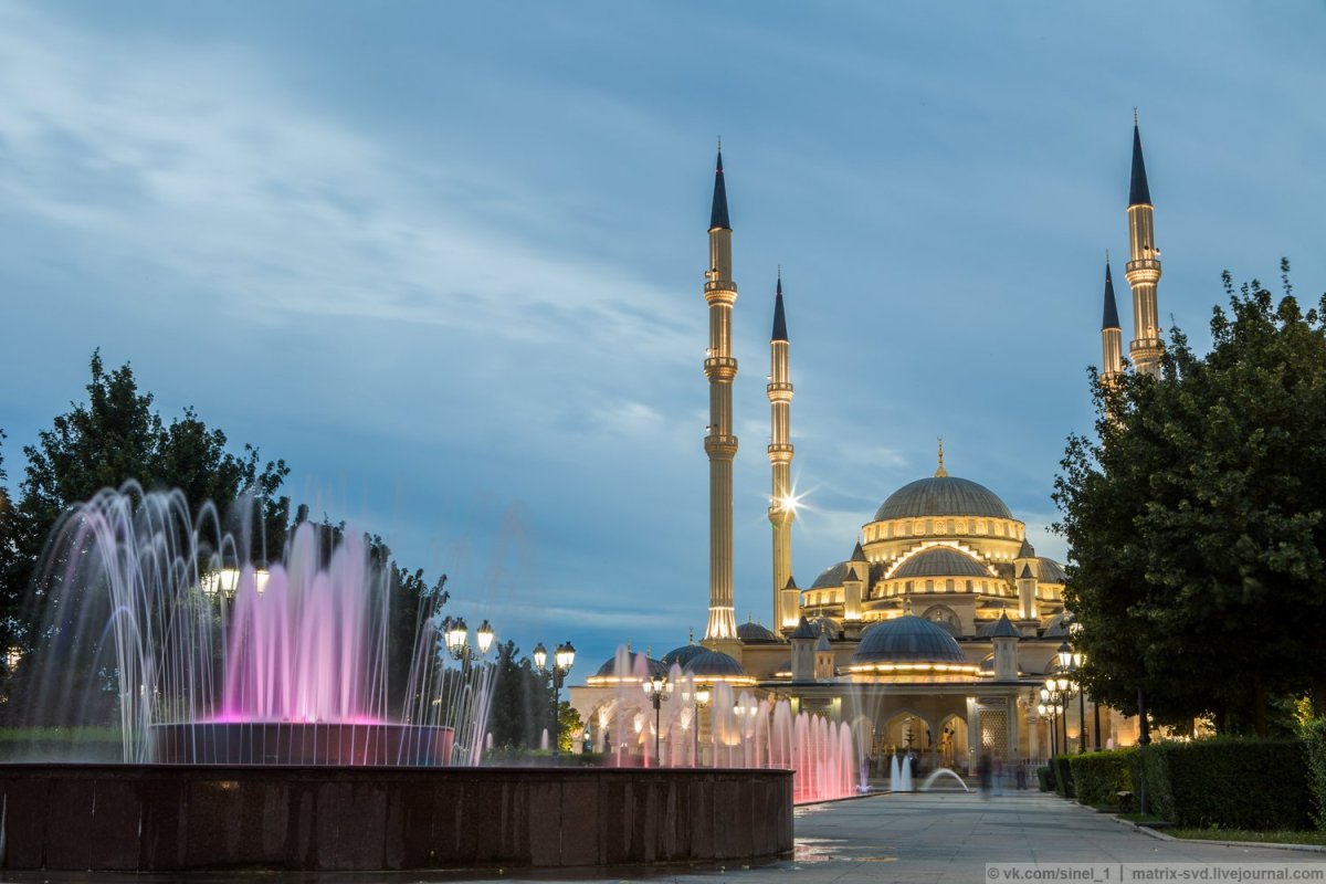 Грозный город Чечня природа