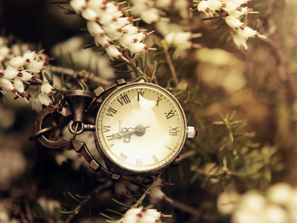 Часы "цветок"