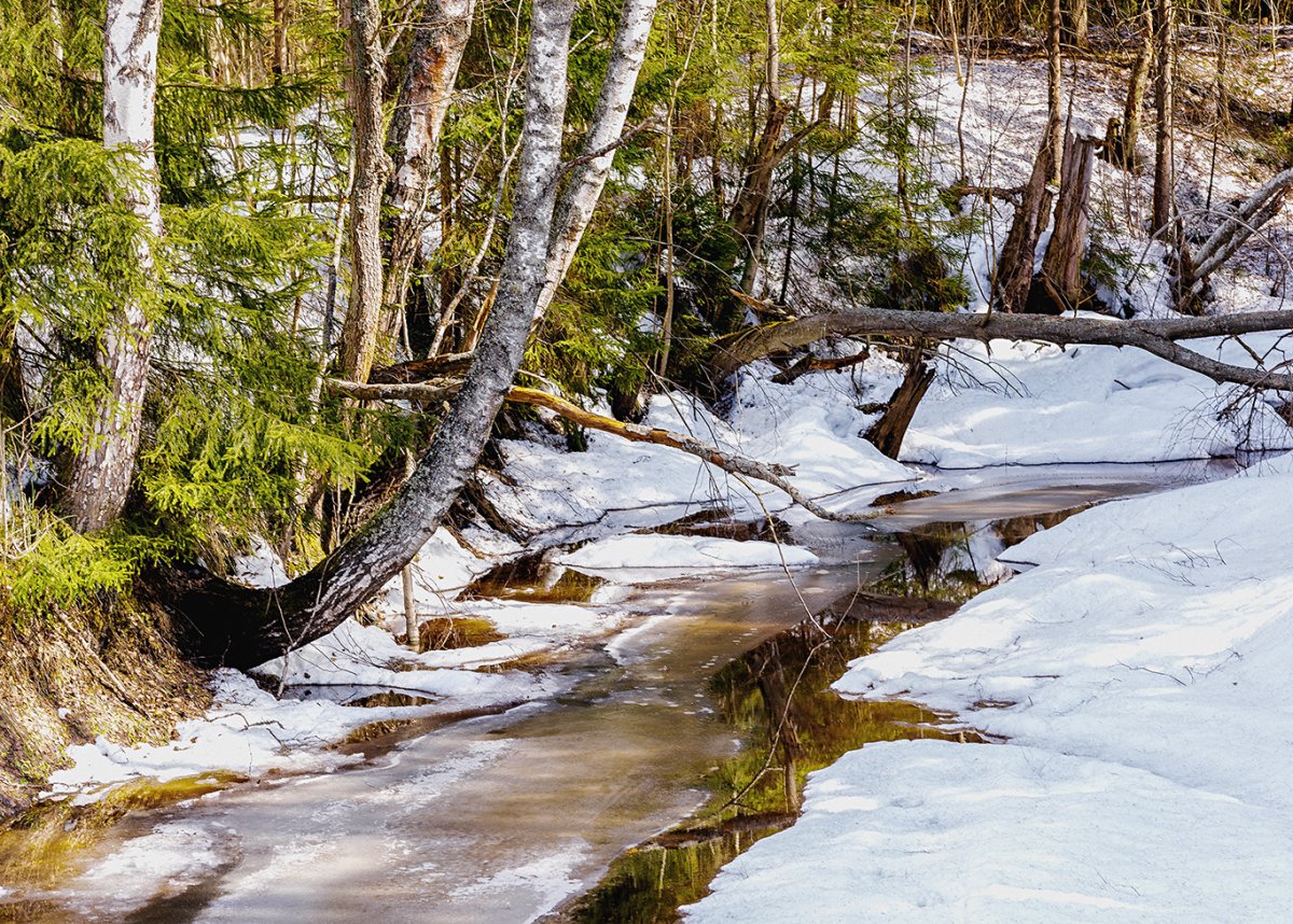 Весенний Ручеек
