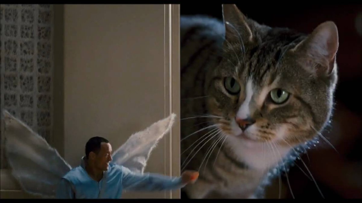 Фотографии настоящей зубной феи