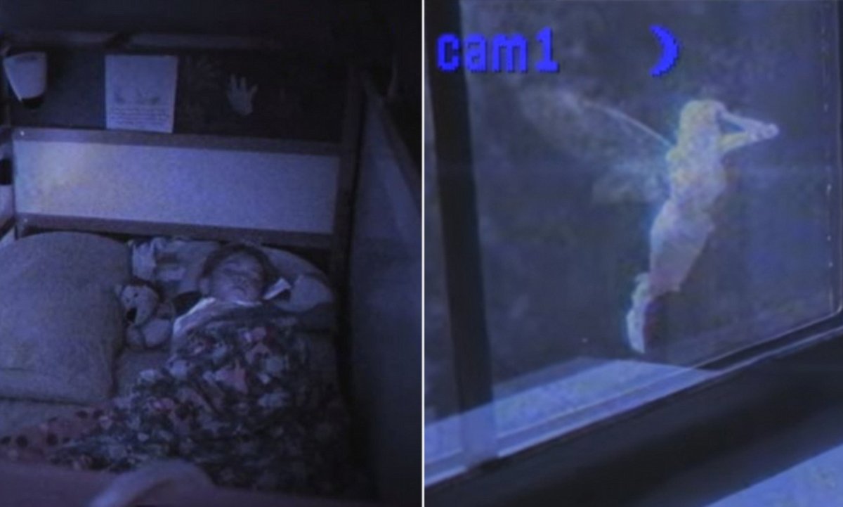 Феи настоящие живые