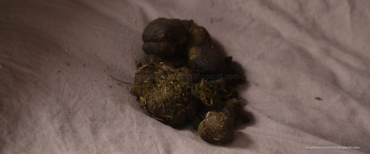 Настоящая зубная Фея страшная