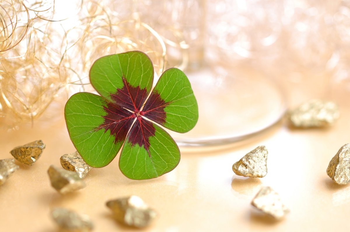 Четырехлистный Клевер на удачу