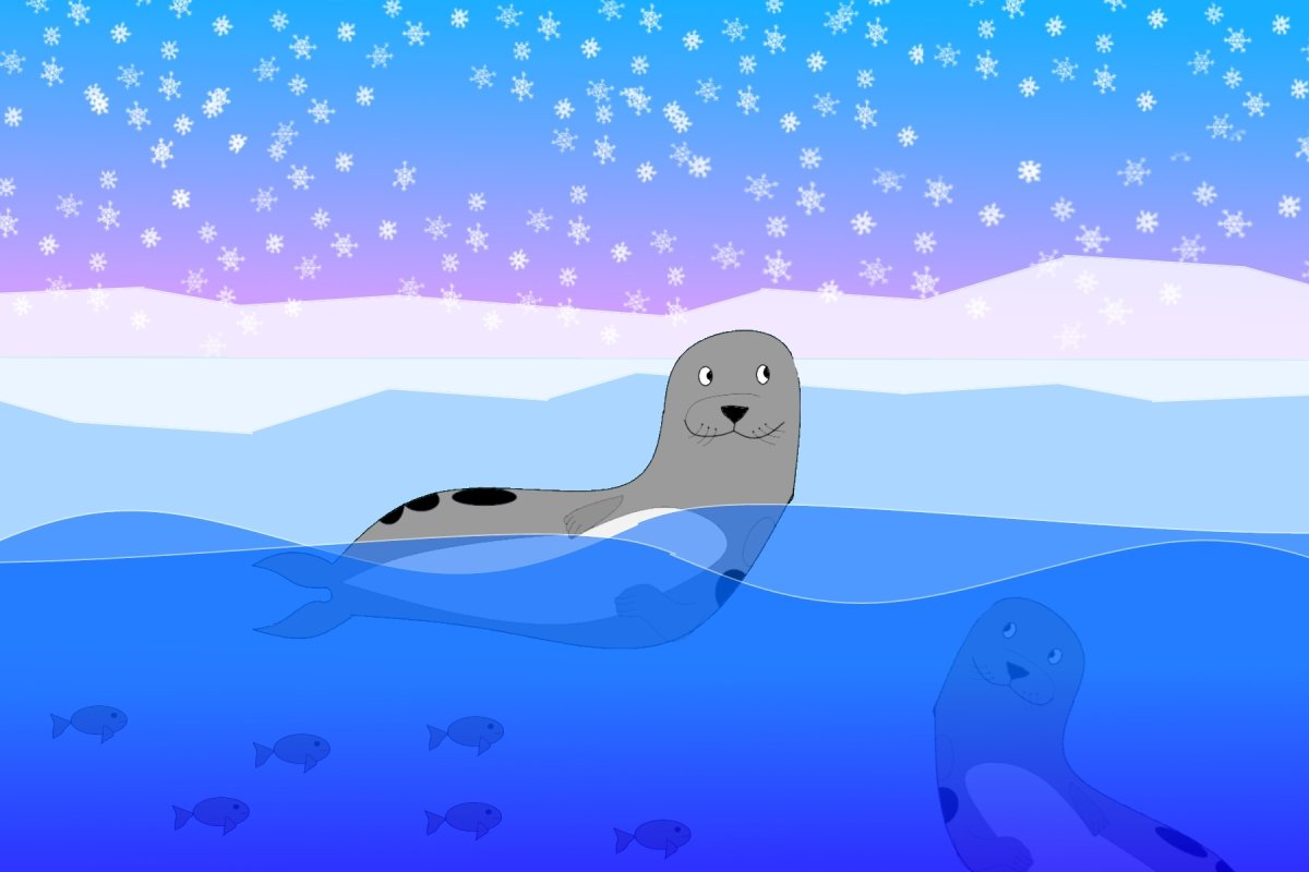 Гренландский тюлень (Лысун)