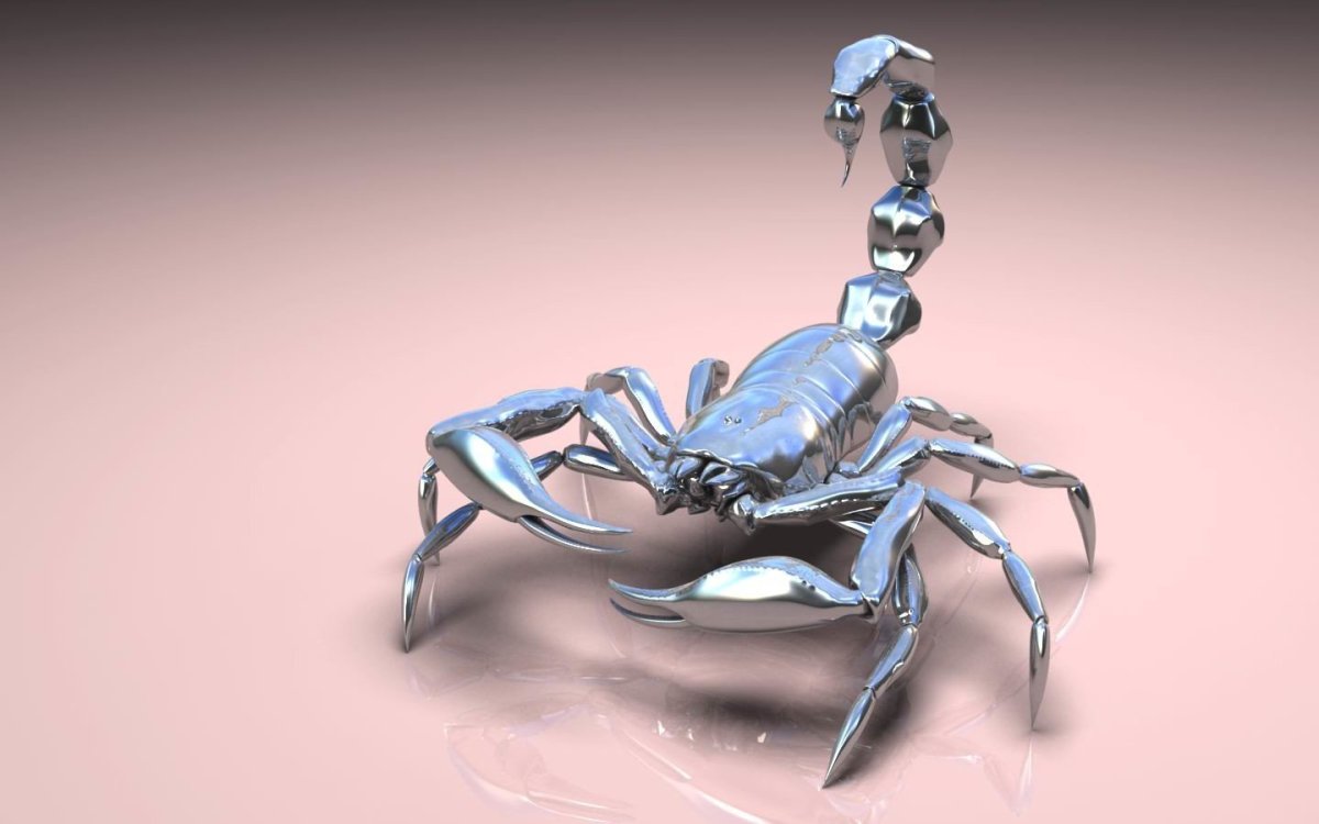 Очень красивый Скорпион