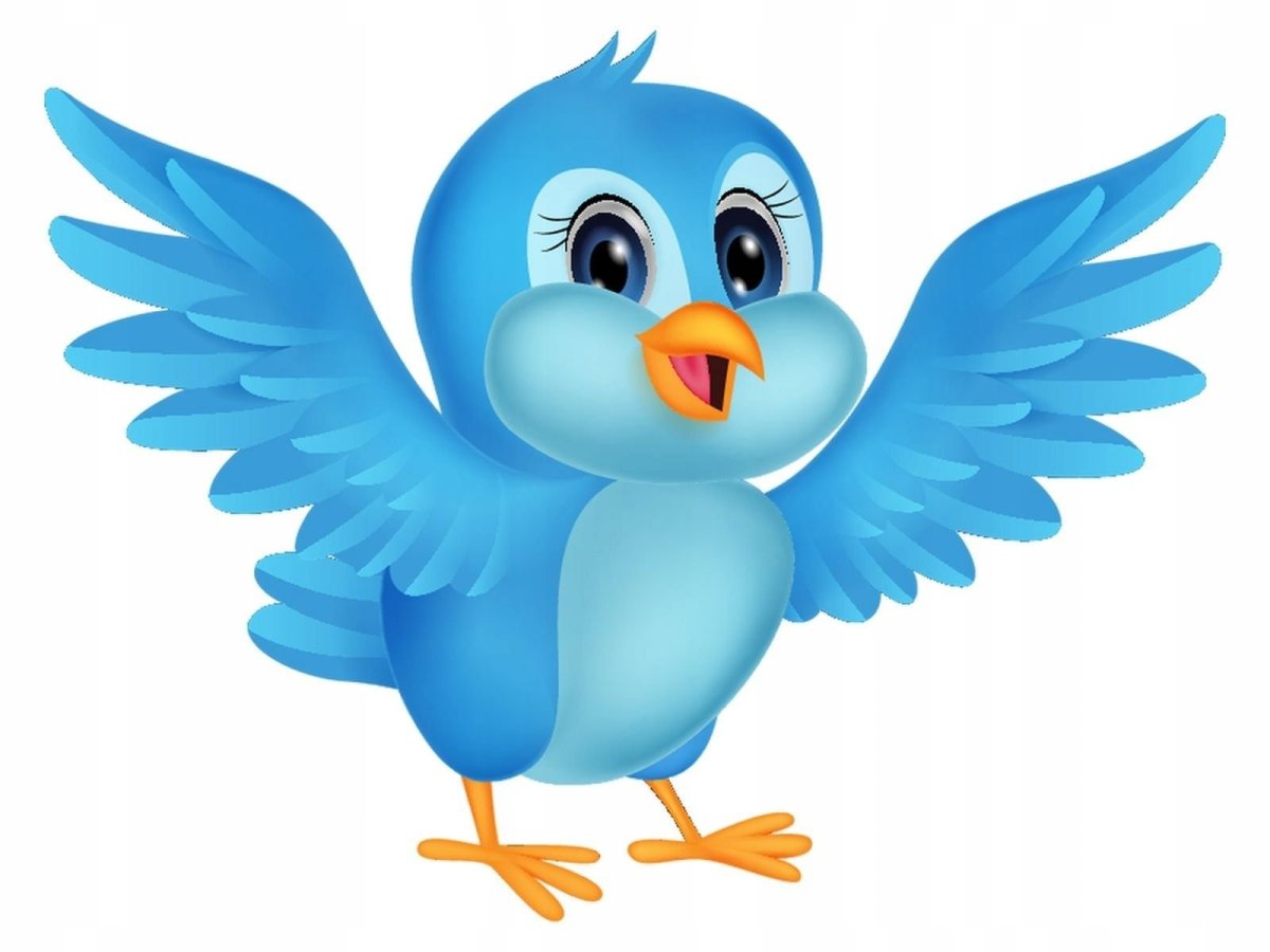 Красивые птички для детей