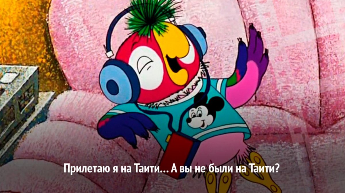 Попугай Кеша мультфильм кот