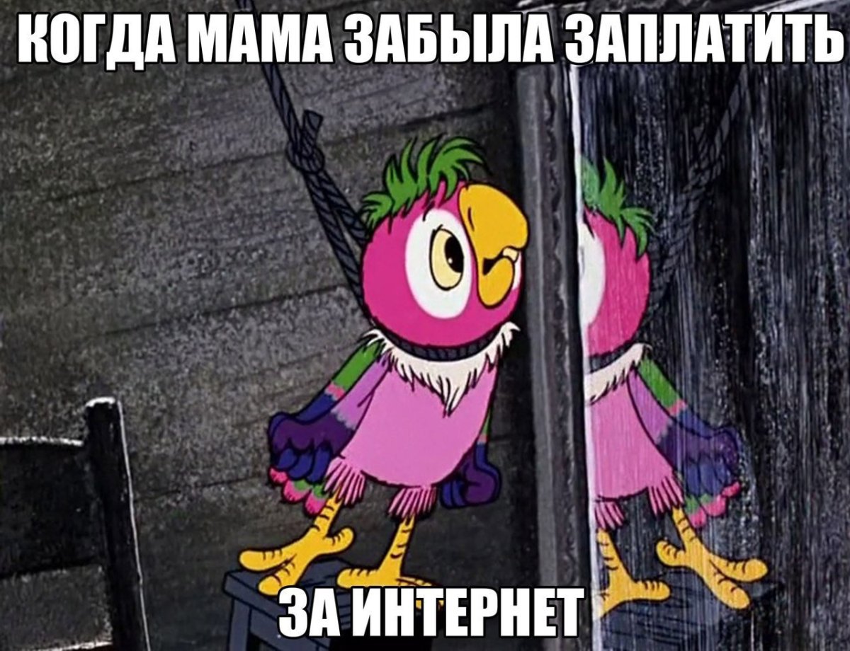 Попугай Кеша мультфильм персонажи