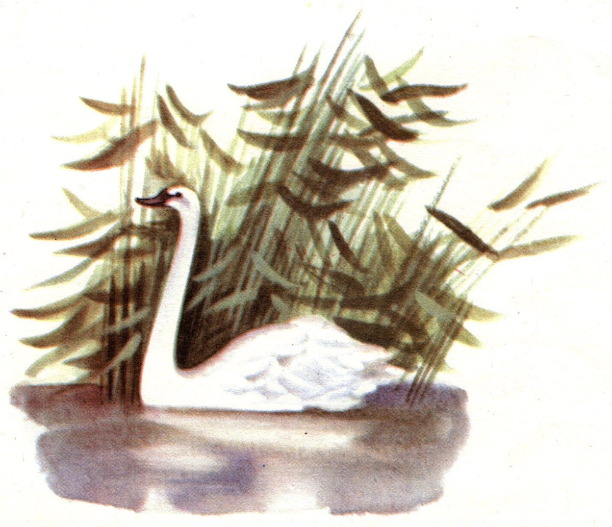 Сказочная розовая Страна