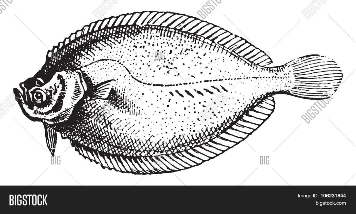 Желтая плоская рыбка