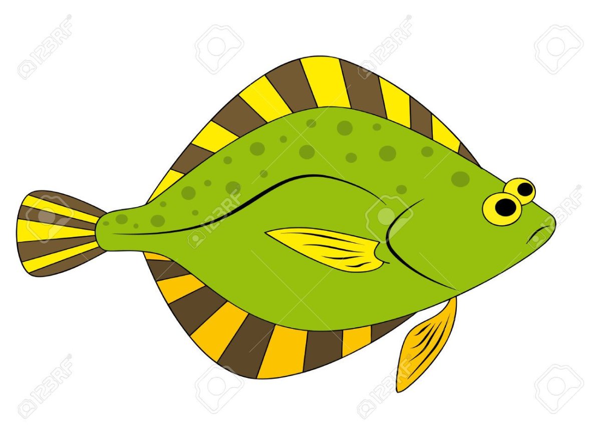 Рыба камбала