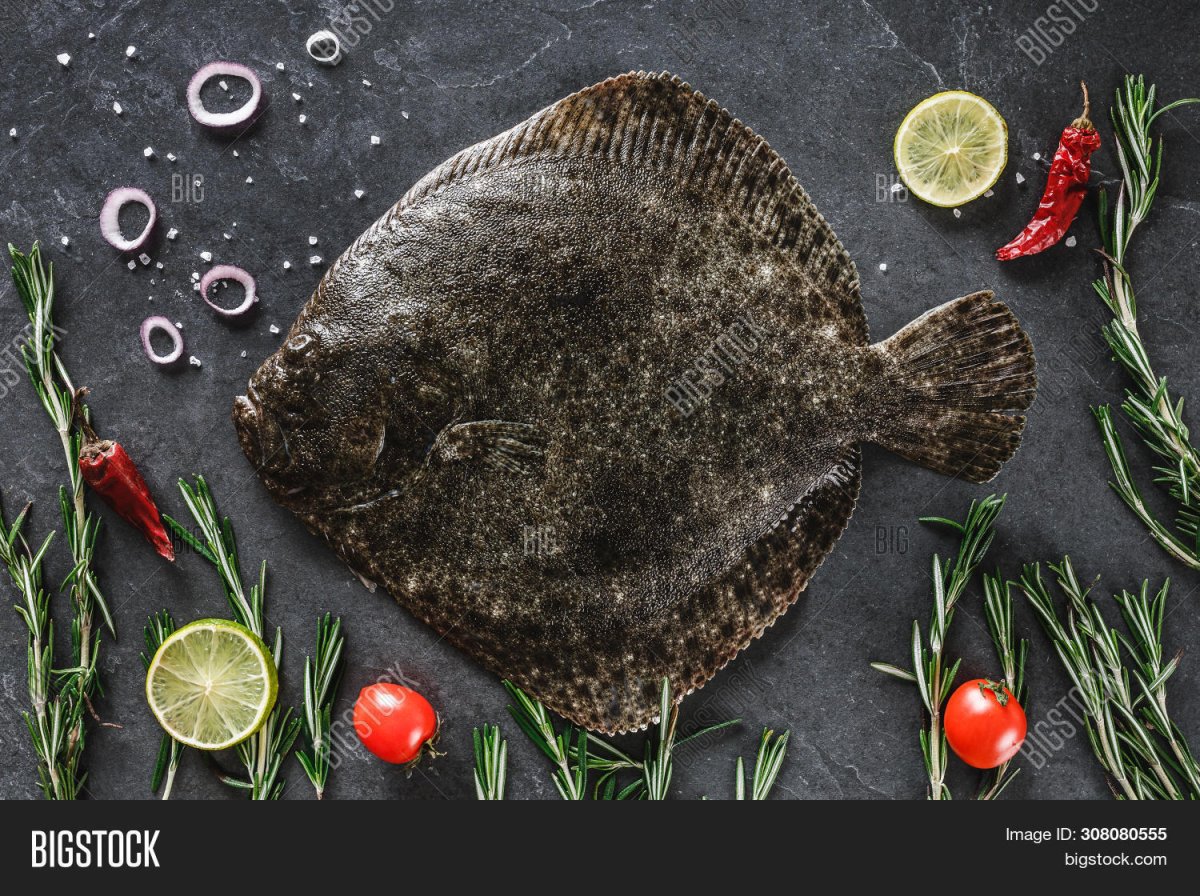 Камбала мультяшная