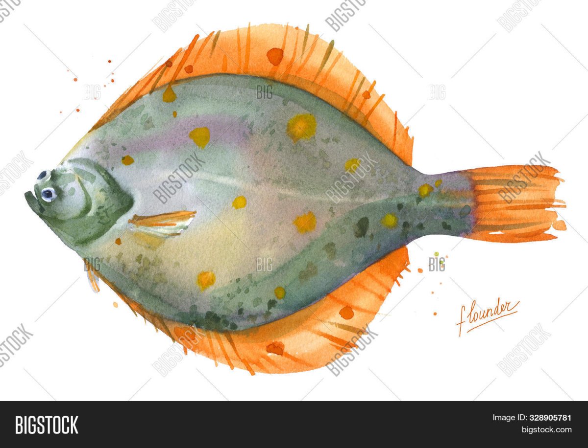 Камбала мультяшный