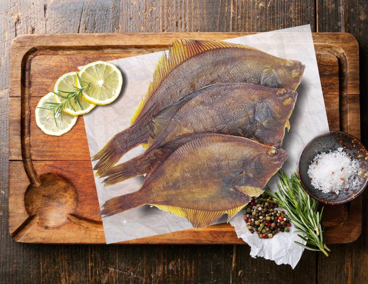 Камбала вектор