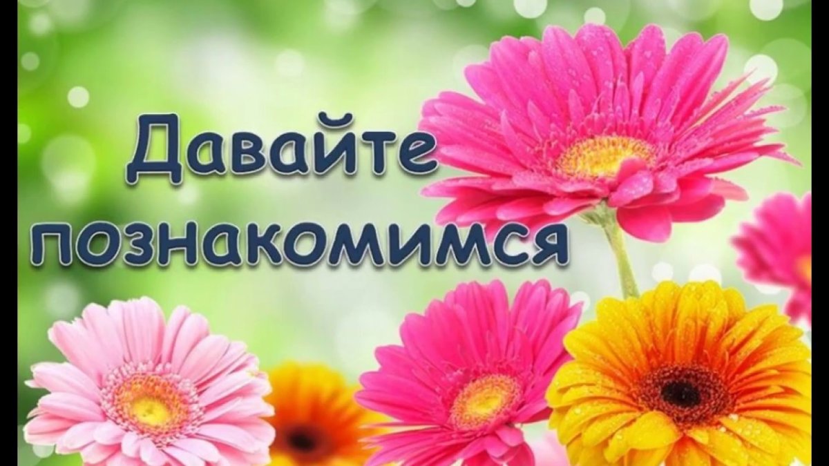 Давайте познакомимимс
