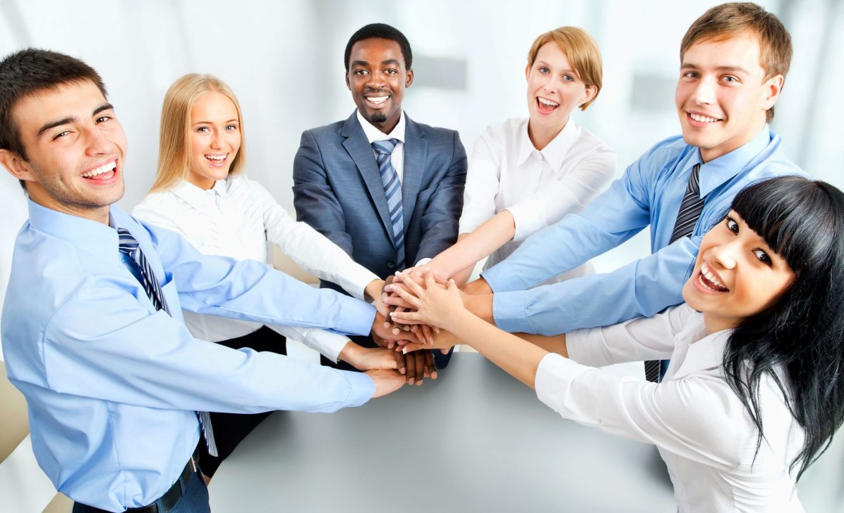 Новичок в коллективе