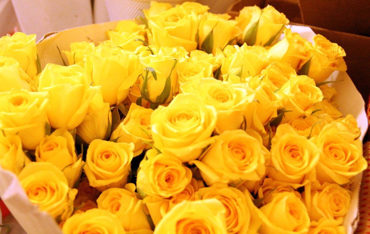 Букет шикарный