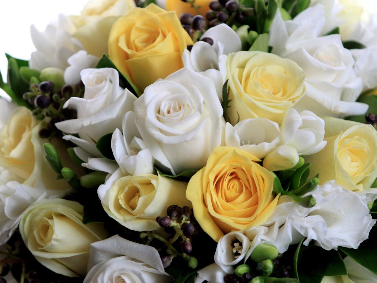 Желтая пионовидная роза