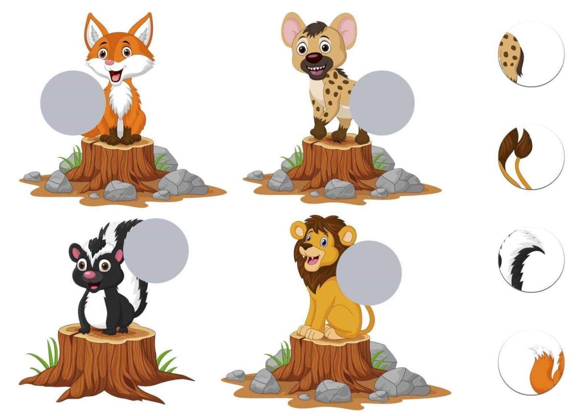 Отпечаток лапы медведя