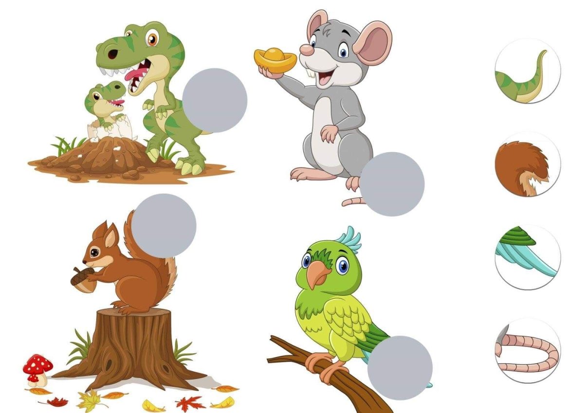 Части тела животного для детей