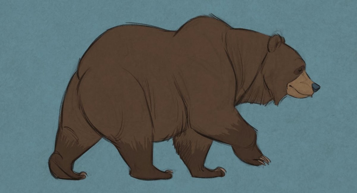 We bare Bears Гризли