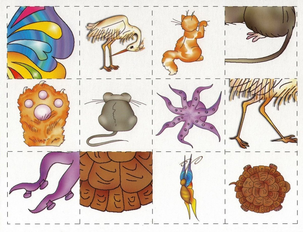 Кошачья лапка мультяшная