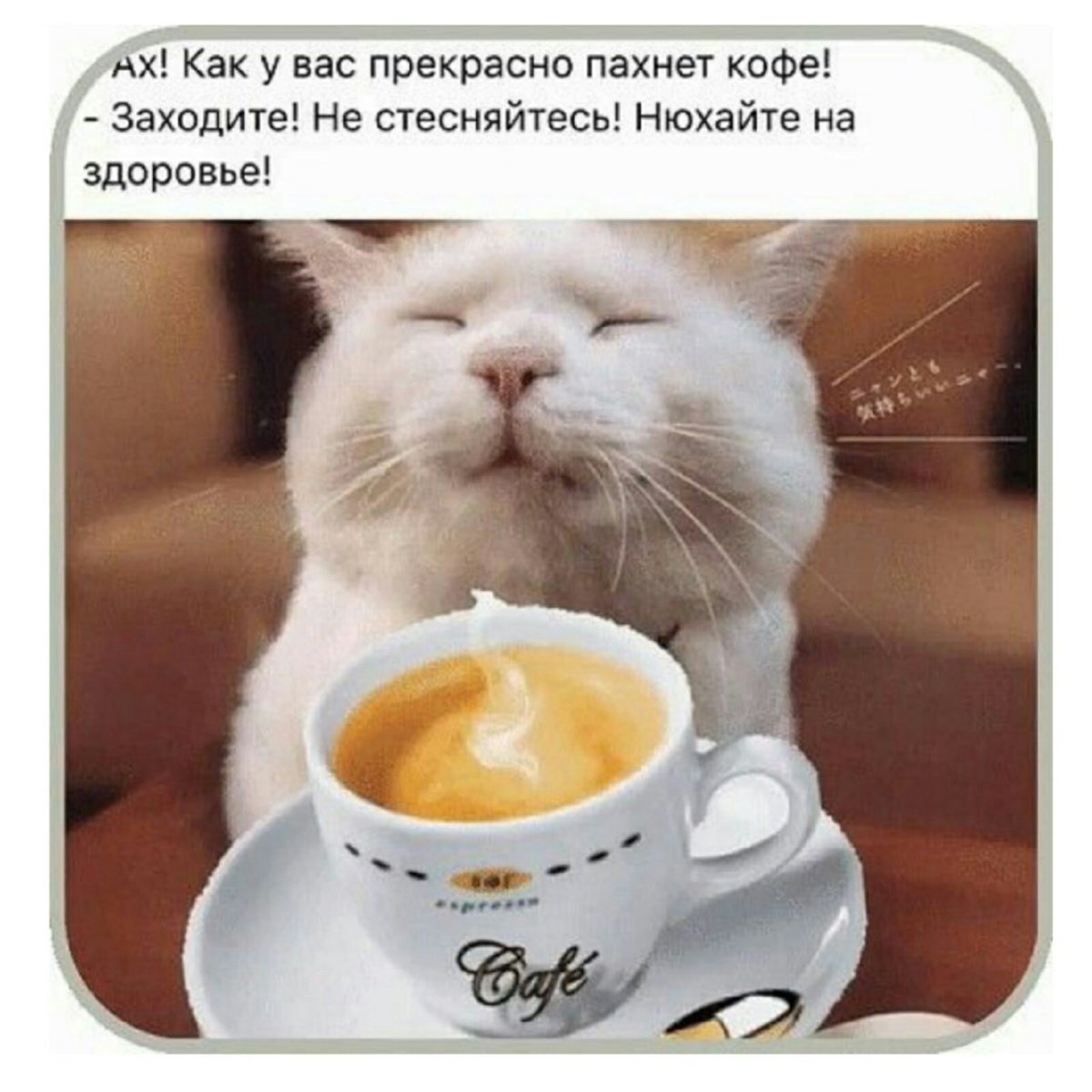 Доброе утро четверга прикольные