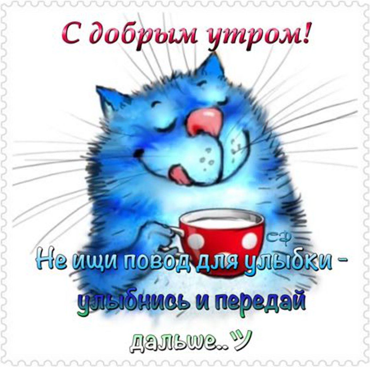 Утро начинается не с кофе а с кормежки голодного кота