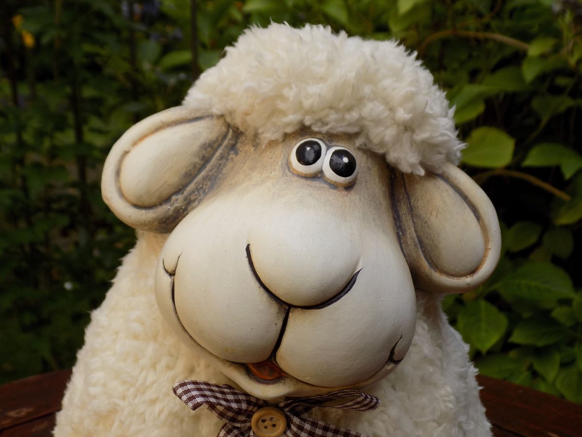 Красивая Овечка