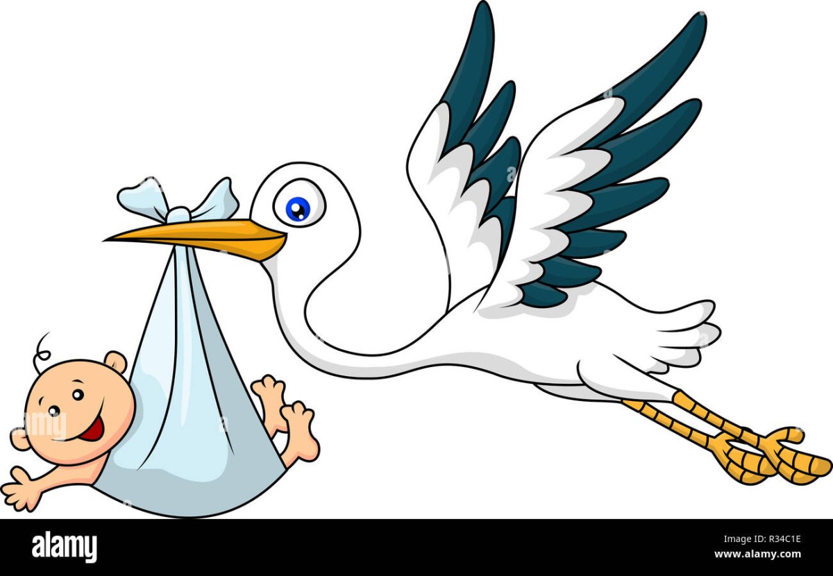 Аист несет малыша