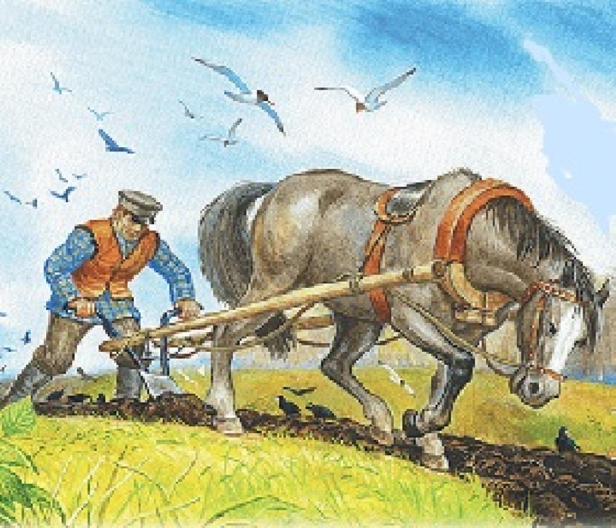 Рало это в древней Руси