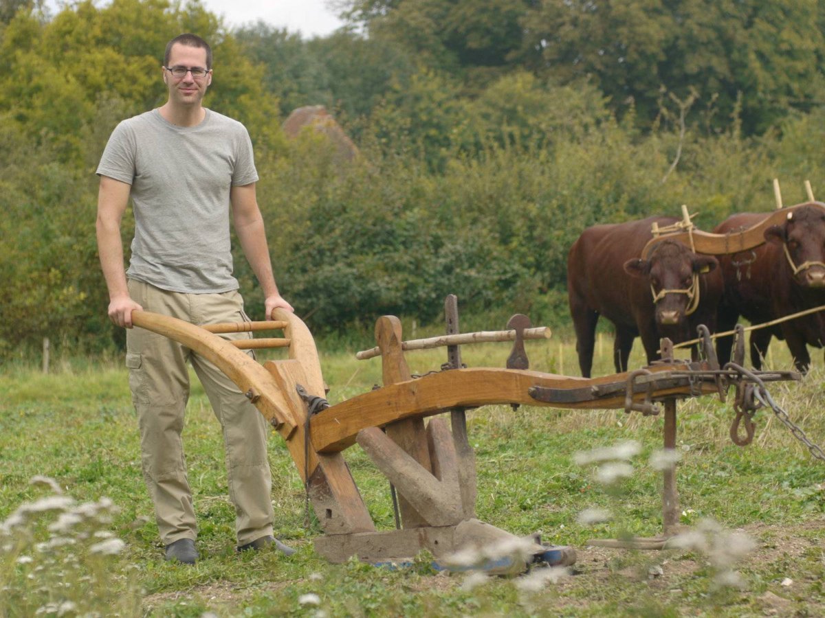 Лошадь пашет плугом