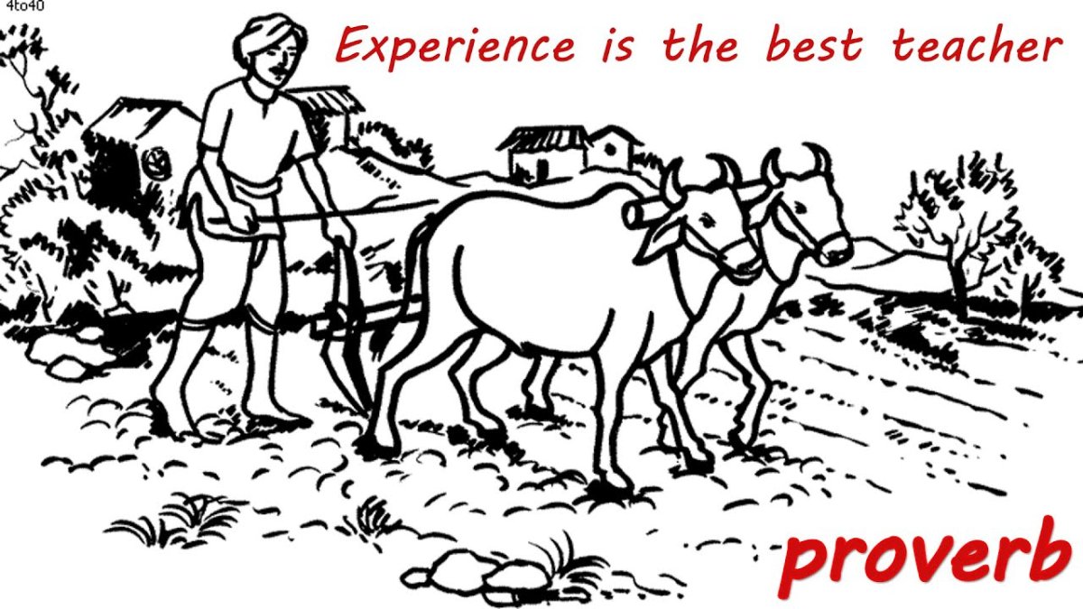 Рало Соха плуг