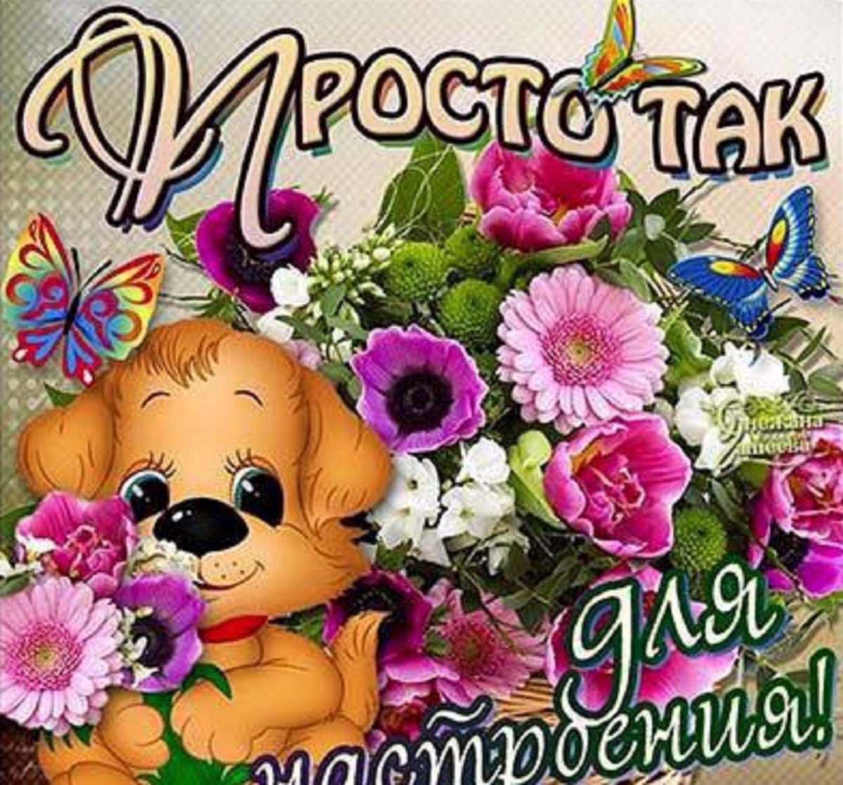 Самый красивый букет роз для любимой