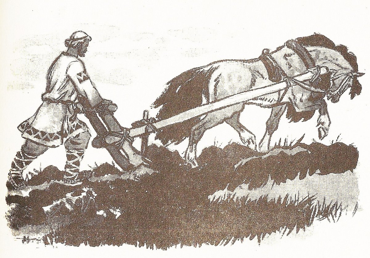 Борона 17 века