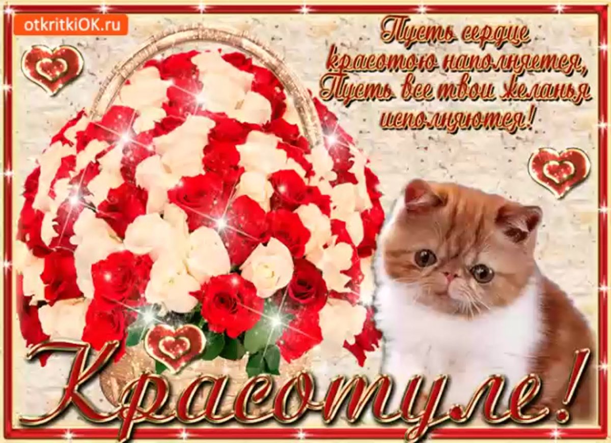 Очаровательной девушке открытки