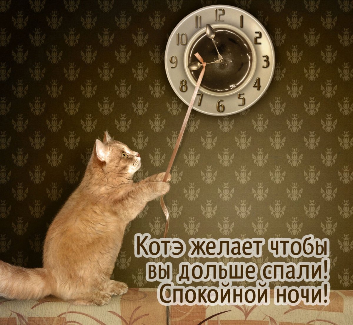 Теплой ночи