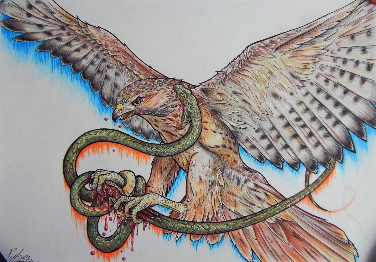 Финес ыстный Сокол сказка