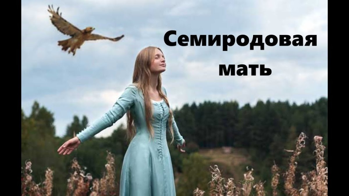 Финист-Ясный Сокол: сказки