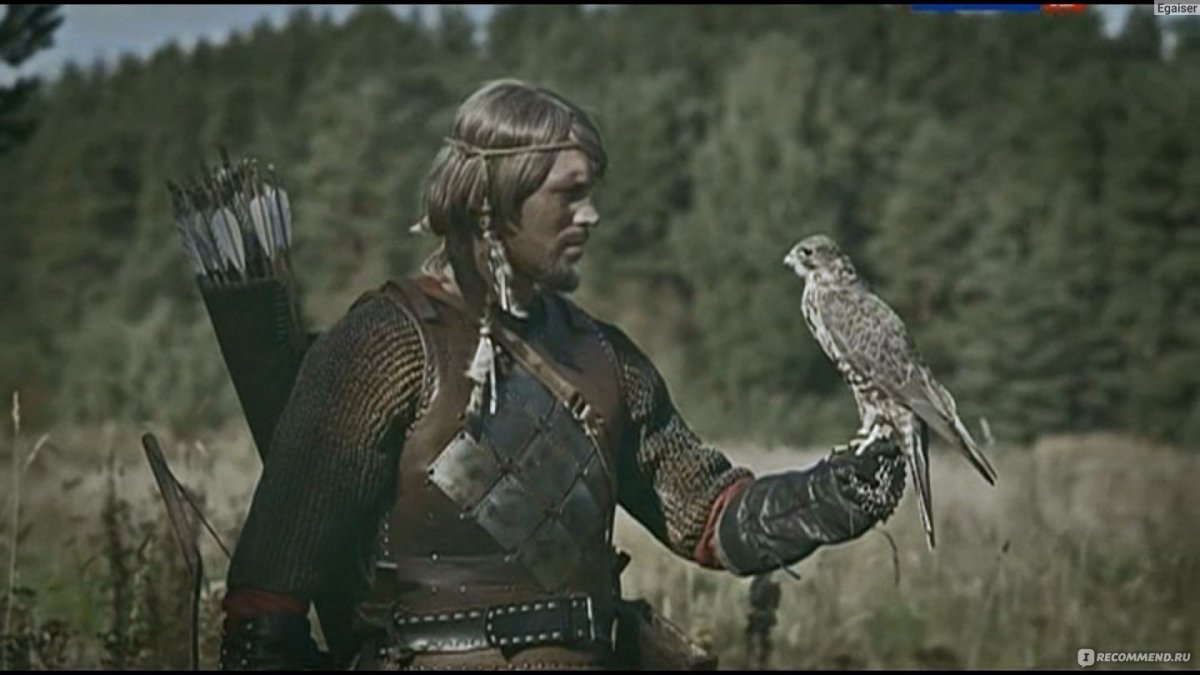 Сериал дружина Финист