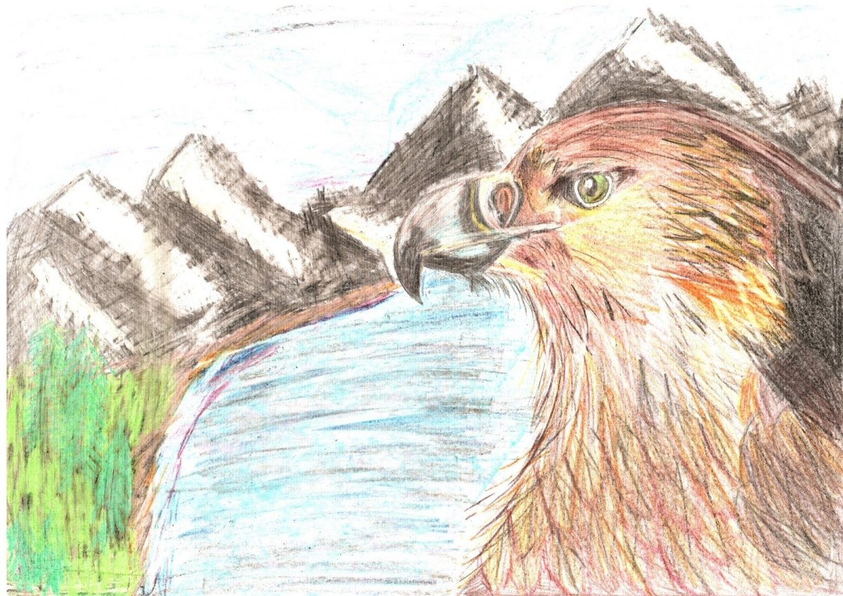 Марьюшка Финист Ясный Сокол