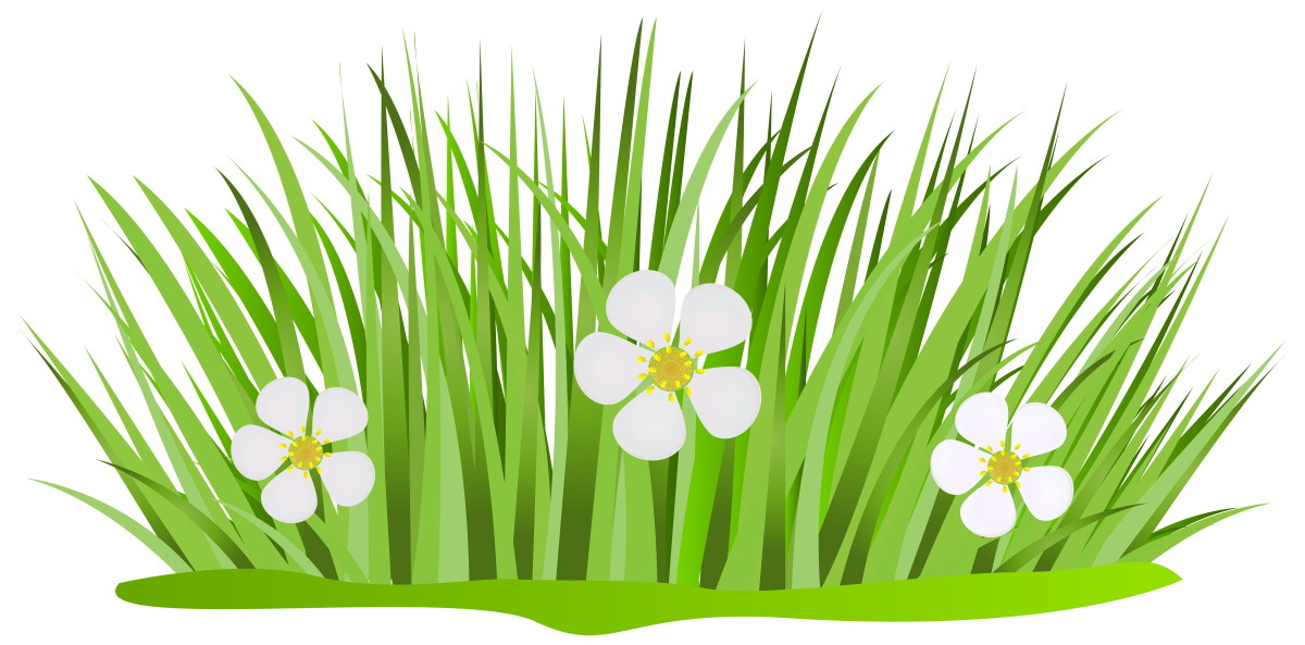 Трава рисунок