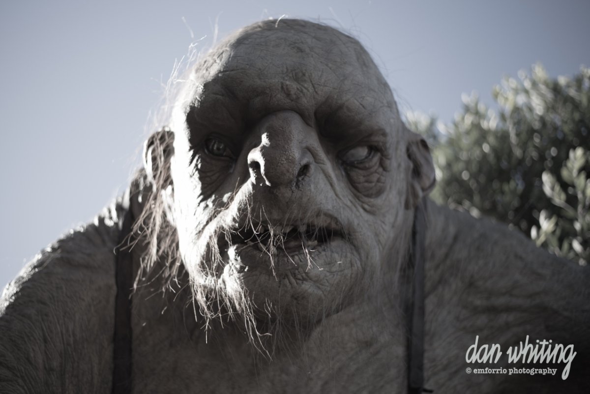 Тролли 2 Barb x Poppy